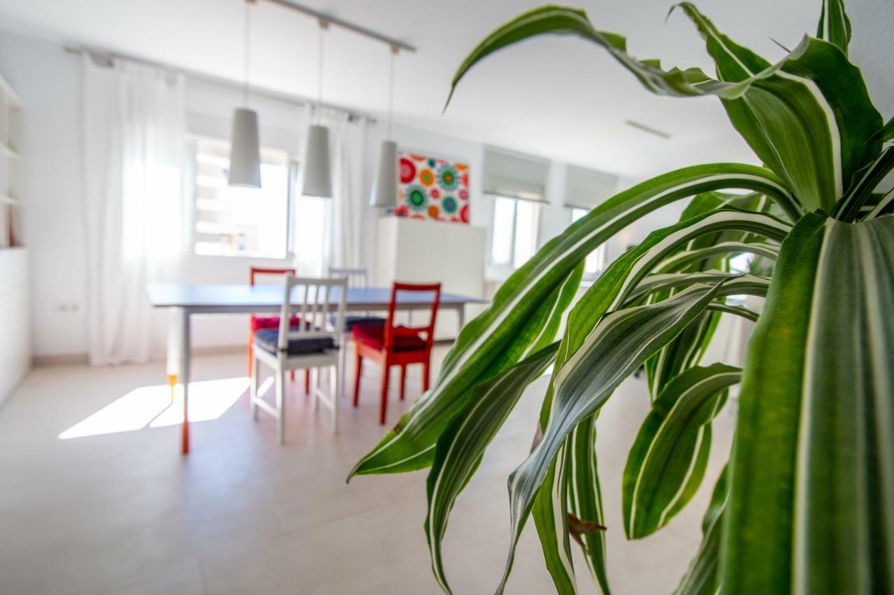 Apartamento El Rayo Verde Cadiz Dış mekan fotoğraf